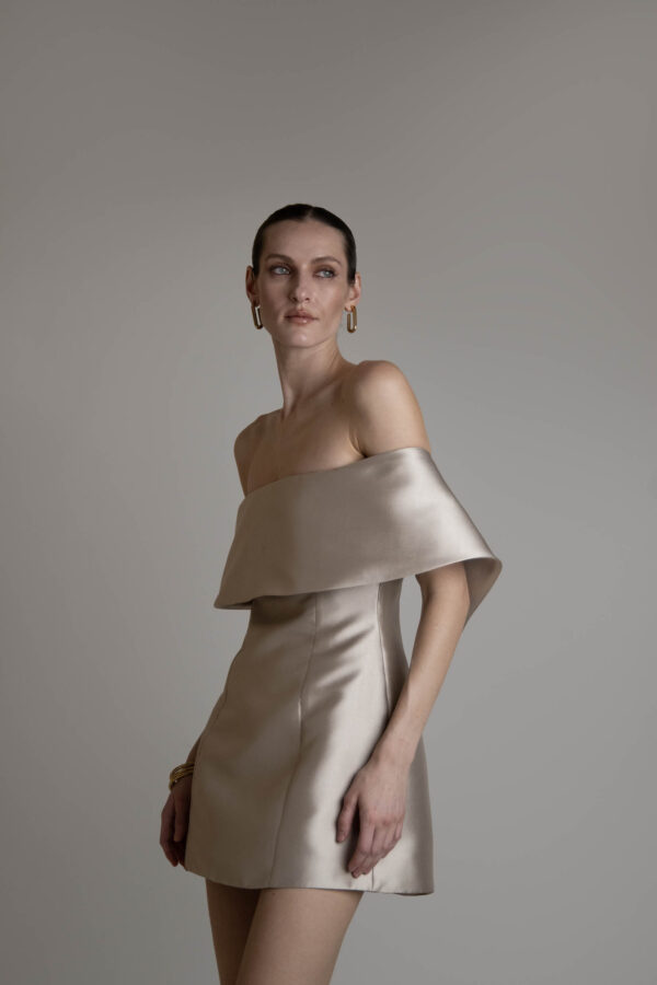 Sia Mini Dress
